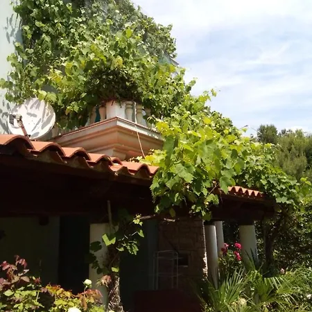 Villa Verde Apartments And Rooms Premantura Exterior photo