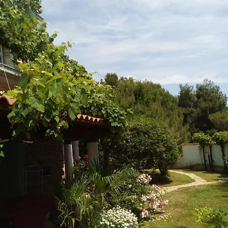 Villa Verde Apartments And Rooms Premantura Exterior photo