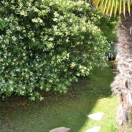 Villa Verde Apartments And Rooms Premantura Room photo