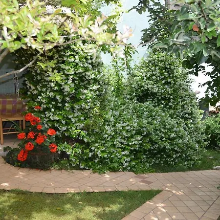 Villa Verde Apartments And Rooms Premantura Room photo